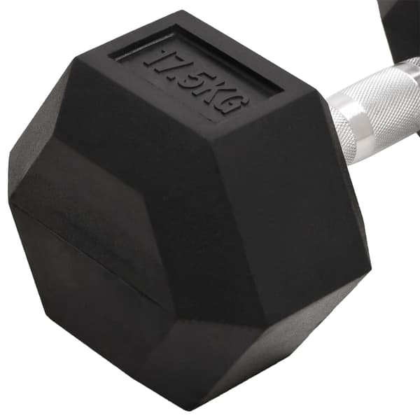 vidaXL Hantel 17,5 kg gjutjärn art