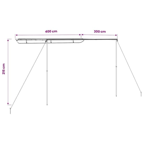 vidaXL Husvagnsmarkis 4x3x2,15 m beige Beige