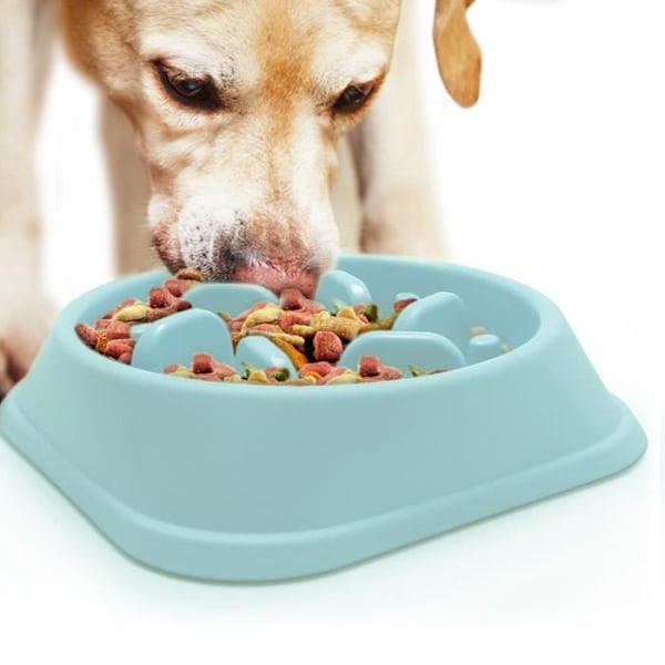 igadgitz Hjem U6711 Antispiser Skål til Hund Labyrint Madskål Til Langsom Fodring til Kat Hund Kæledyr