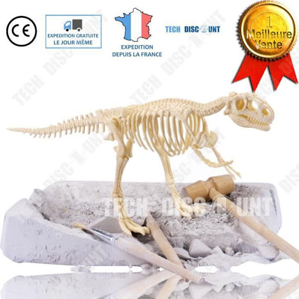 TD® Tyrannosaurus leksak dinosaurie barn jura världsfödelsedag Rex arkeologisk utgrävning montering skapelse pussel skelett