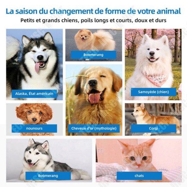 TD Dog Clipper USB 5:e hastighet hundklippare kattklippare hundklippare långt hår tjock kattklippare långt hårknutar