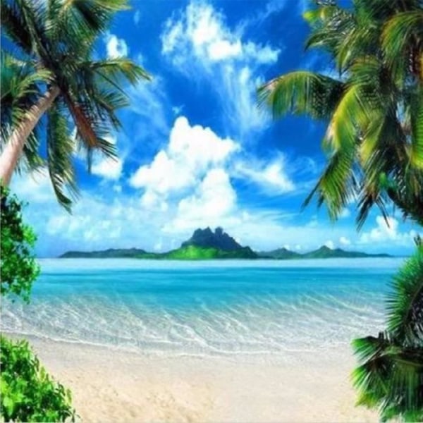 SMRT TEMPSA Bakgrund Bakgrundsduk 2,4x2,4m Beach Palm Tree Photography Photo Studio