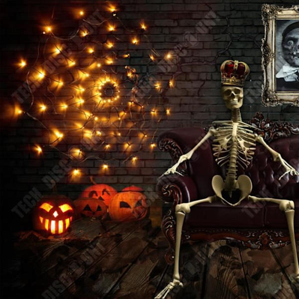 TD® Halloween dekoration tilbehør med LED-spiderweb lys kontrol på afstand.