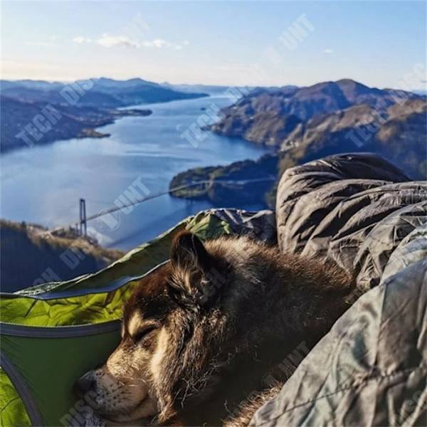 TD® Camping bärbar hängmatta för flera personer anti-rivning anti-mygga flak hängmatta klätterstation sovsäck