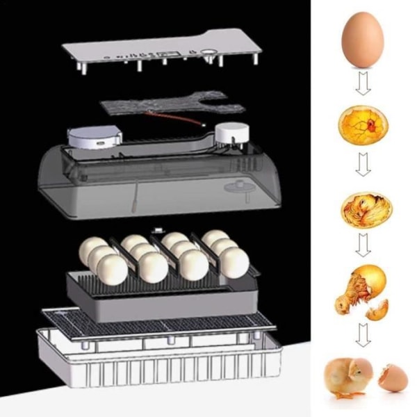 Yangbaga Egg Incubator - Led-belysning - Automatisk svängfunktion - Äggkapacitet: 12 PCS (engelsk manual.)