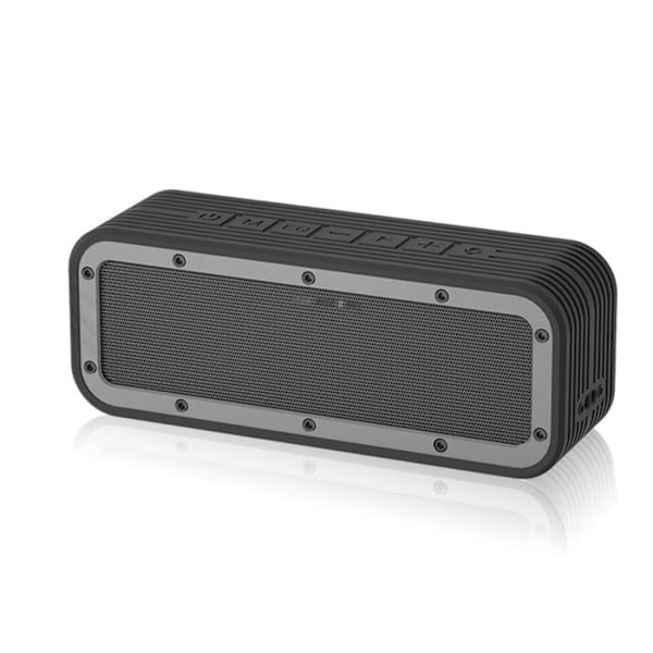 TD® Bluetooth-högtalare 6600mAh Surround Sound Support TF-kort