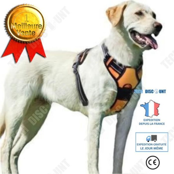 TD® Anti Pull Hundsele Husdjurstillbehör Hund Zinklegering Hundrygg