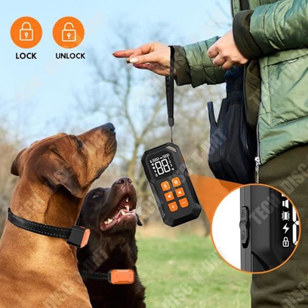 TD® Hundträningsenhet 800 m Uppladdningsbar vattentät elektrisk chockhalsband Fjärrkontroll Hundträningsenhet