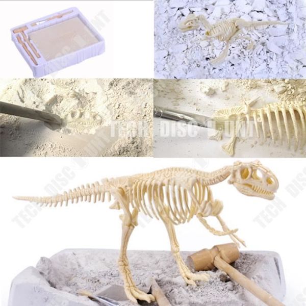 TD® Tyrannosaurus leksak dinosaurie barn jura världsfödelsedag Rex arkeologisk utgrävning montering skapelse pussel skelett