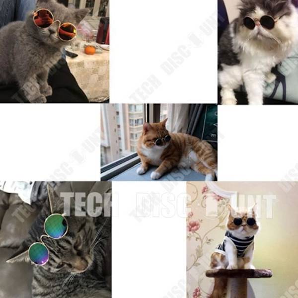 TD® Chiwawa katthund solglasögon vindtät vattentät stora och medelstora husdjur original stil kläder resor soli