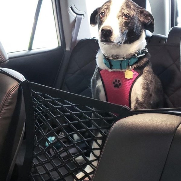 TD® Car Rear Pet Isolation Net, andningsbart och bekvämt bilförvaringsnät, ficka