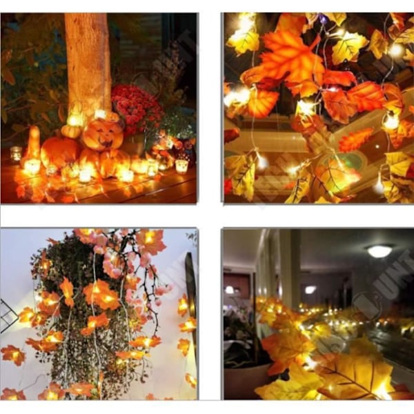 TD® 10 LED Maple Leaf Simulering LED String Lights 2M