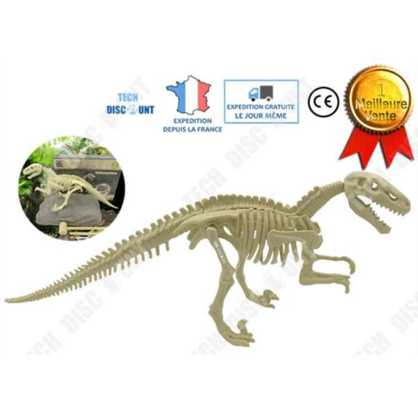 TD® Dinosaurie Skelett Montera Leksak Realistisk Arkeologisk Gräv Barn Fossil Flicka Pojke Tyrannosaurus Byggnad