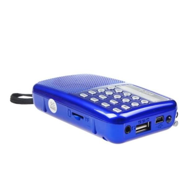 Bærbar højttaler - Universel - FM - Blå LED - USB2.0 - Radio- og lommelygtefunktion