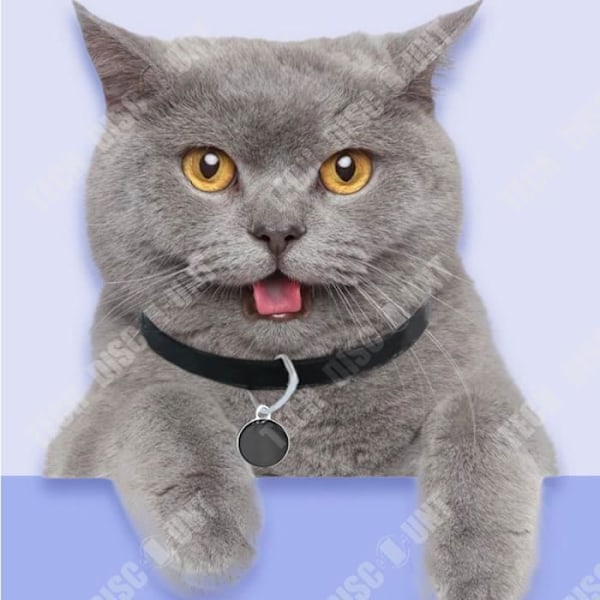TD® Pet Locator för katter One-touch navigation Larmpåminnelse Fjärrplacering