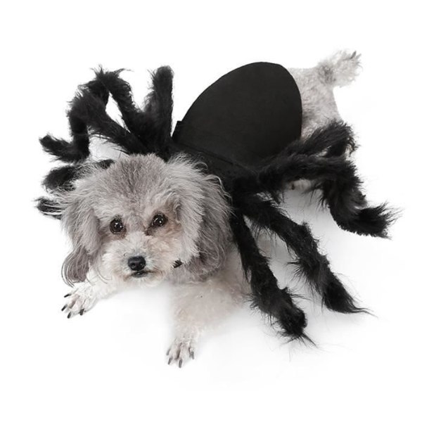 Qiilu Pet Spider Kostym Halloween Kläder Hund Katt Skrämmande Simulering Spider Plysch Klänning