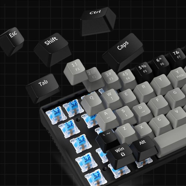 Klavert QWERT TD® dubbel färg 87 tangenter mekaniskt tangentbord Typ-C USB trådbundet tyst stödläge spel tangentbord hot-swapbare tangenter