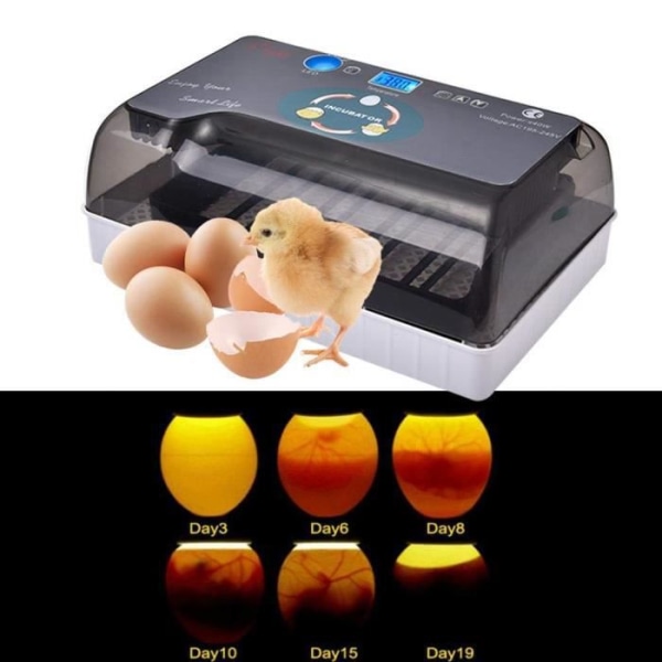 Yangbaga Egg Incubator - Led-belysning - Automatisk svängfunktion - Äggkapacitet: 12 PCS (engelsk manual.)