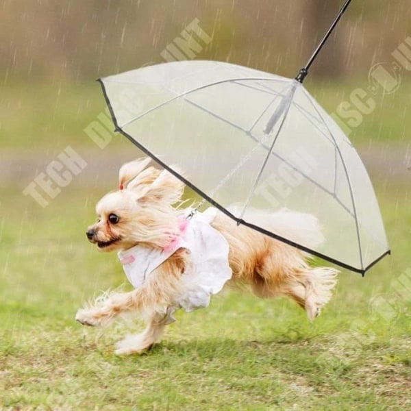 TD® Pet Dog Paraply med koppel - Klart vikbart Easy View Puppy Paraply för små hundar