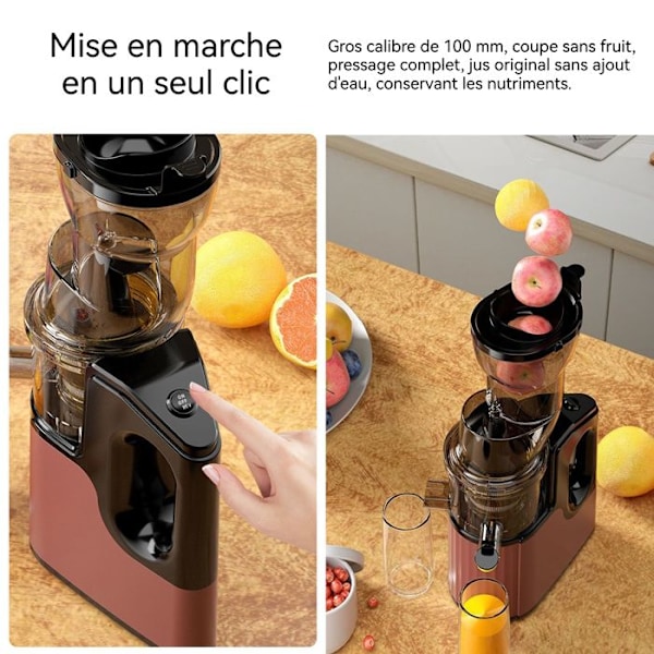 Citruspresser - INN® - 350W - Rustfrit stål - Multifunktionel - 48 omdrejninger/minut