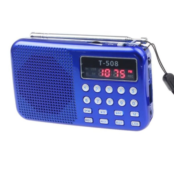 Universal Stereohögtalare TF Radio Portable Card FM Radio Högtalare Digital högtalare med blå LED-skärm