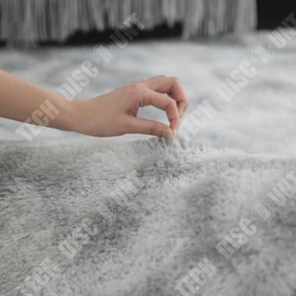 Tæppe til hjemmet TD® 200 x 300cm Skridsikker Anti-akkumulation