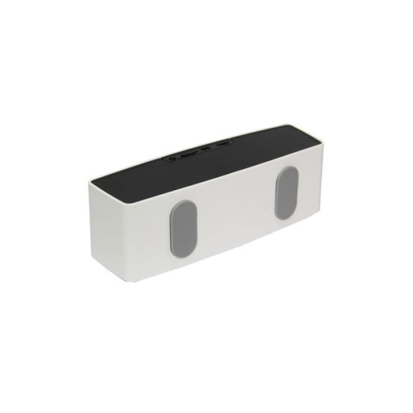 trådløs bærbar Bluetooth-højttaler, Subway NFC Bluetooth V3.0 bærbare højttalere Subwoofer FM understøtter radio TF læser USB
