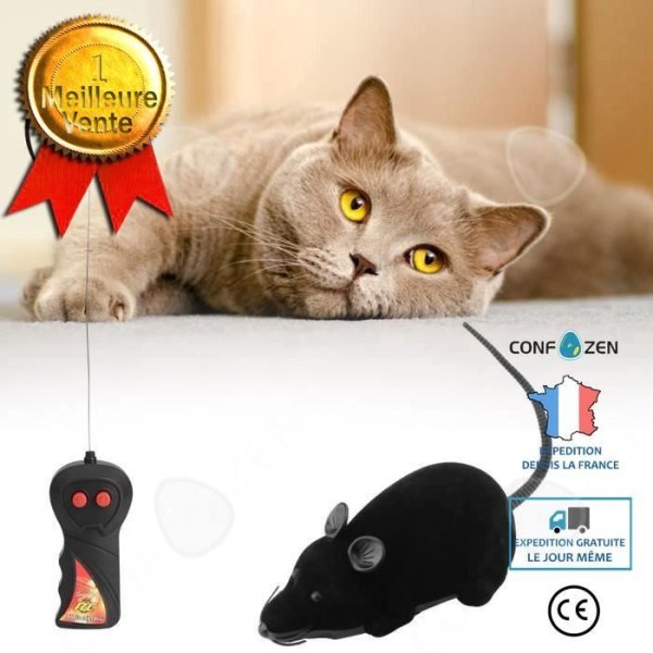 Elektronisk leksak - C® - Fjärrstyrd mus - Bärbar - För katt - Jul Svart