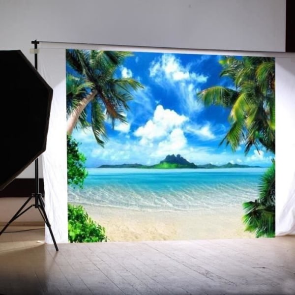 SMRT TEMPSA Bakgrund Bakgrundsduk 2,4x2,4m Beach Palm Tree Photography Photo Studio