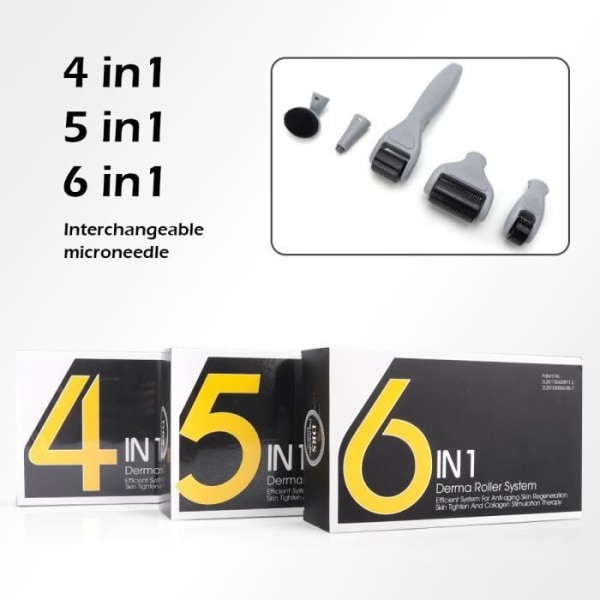 4 i 1 lila - Professionell Micro Needle Derma Roller Kit, Mesoroller för hårväxt