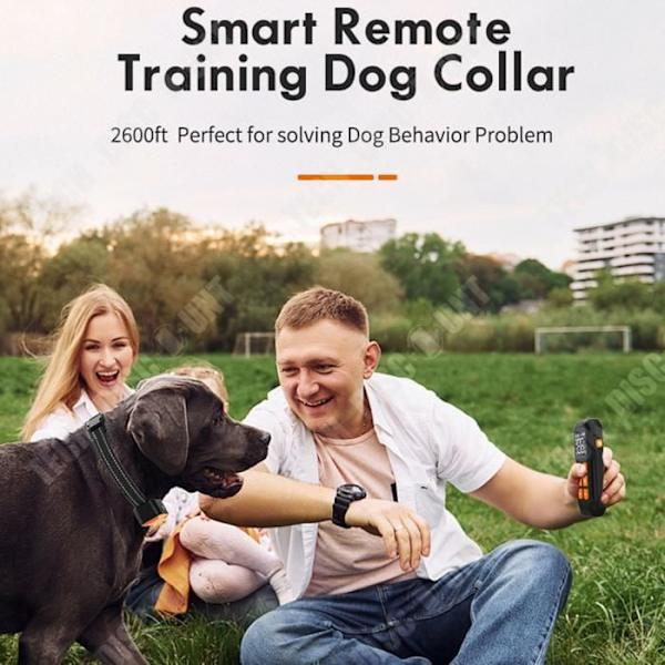 TD® Hundträningsenhet 800 m Uppladdningsbar vattentät elektrisk chockhalsband Fjärrkontroll Hundträningsenhet