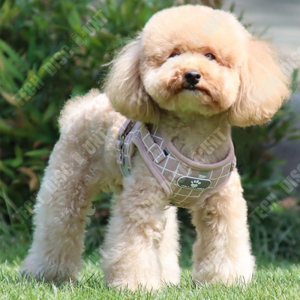TD® Leash for Small and Medium Dogs Sopii rinnanympäryksille 35-39 cm Yleinen koirille ja kissoille
