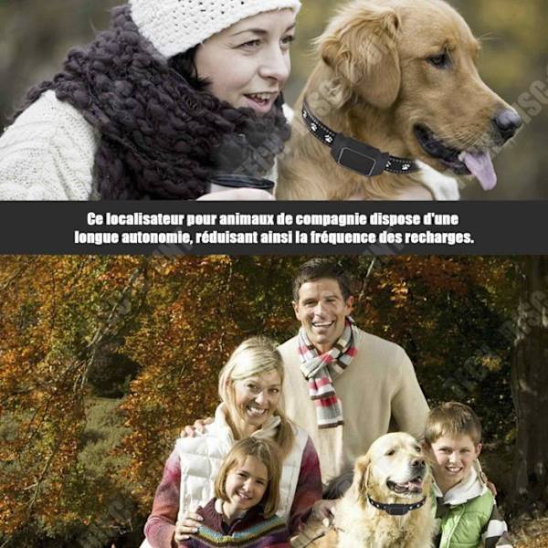 TD Tracker IPX67 vattentät 5 m avstånd trådlös positioneringsspårare laddningslokalisering Pet Locator