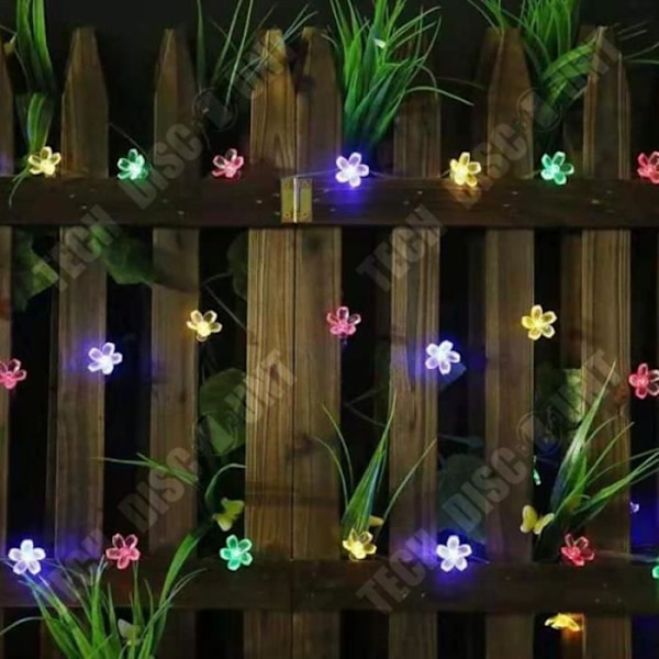 TD® Lyskæde LED kirsebær Vandtætte lampeperler Blødt lys Sikker anvendelse 30LED 6.5 m