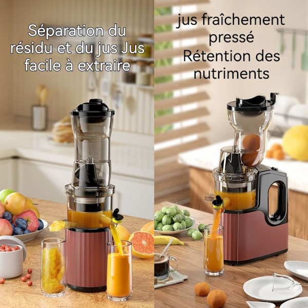 Citruspresser - INN® - 350W - Rustfrit stål - Multifunktionel - 48 omdrejninger/minut