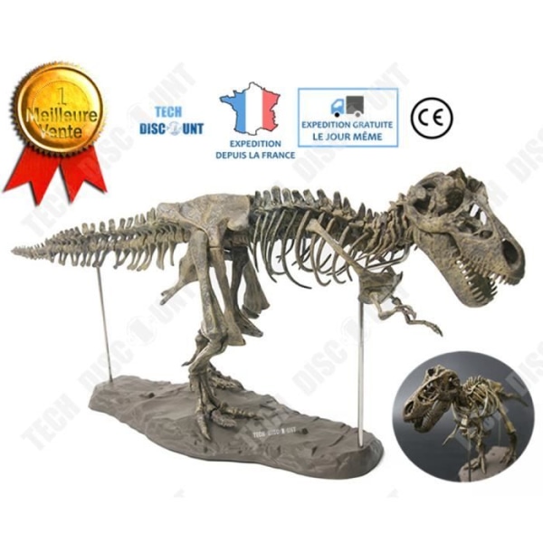Tyrannosaurus Rex Skeleton Model TD® 70*20 cm Arkeologiskt dinosaurieskelett Undervisningssimulering