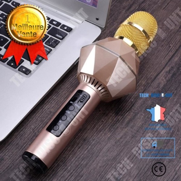 TD® Trådlös Bluetooth Karaoke Mikrofon Bärbar LED Inbyggd mikrofonhögtalare