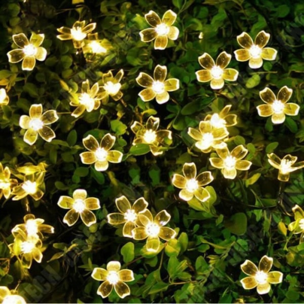 TD® Cherry LED String Lights Vattentät Lampa Pärlor Mjukt Ljus Säker användning 30LED 6,5m