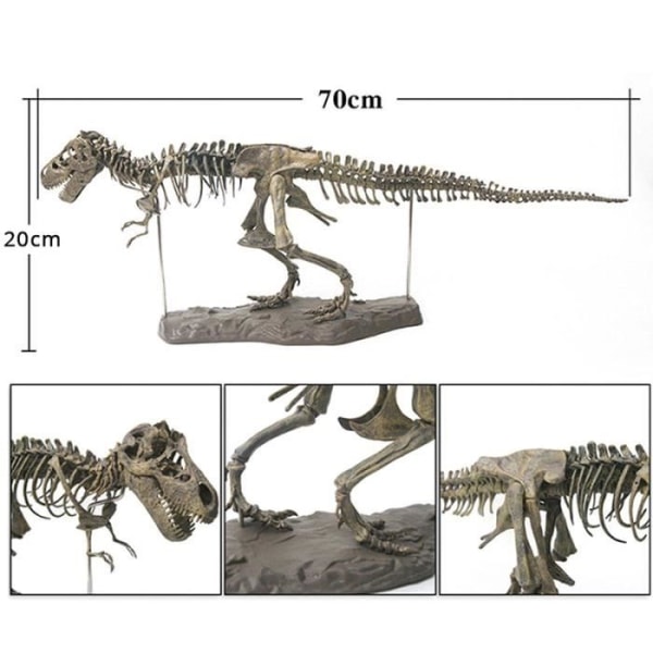 Tyrannosaurus Rex Skelett Dinosaurie Djursamlare Dekormodell Leksak Dinosaurie Skelettmodell
