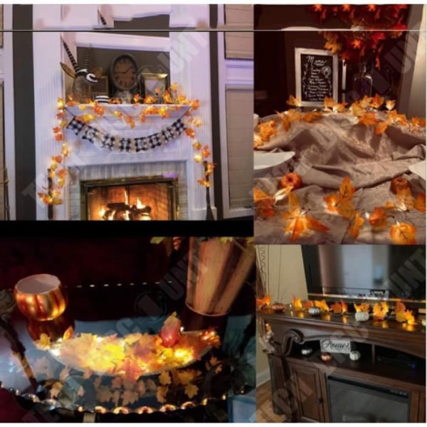 TD® 10 LED Maple Leaf Simulering LED String Lights 2M