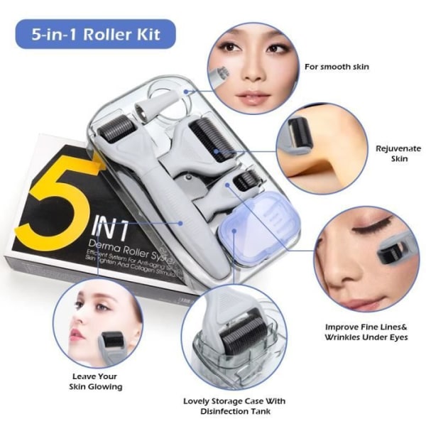 4 i 1 lila - Professionell Micro Needle Derma Roller Kit, Mesoroller för hårväxt