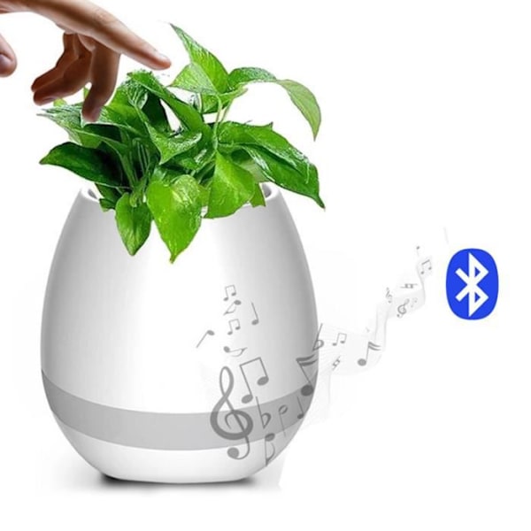 Musikaalinen kukkavaahto - Bluetooth-kaiutin - Taikapiano - Radio - Langaton musiikki - ladattava akku