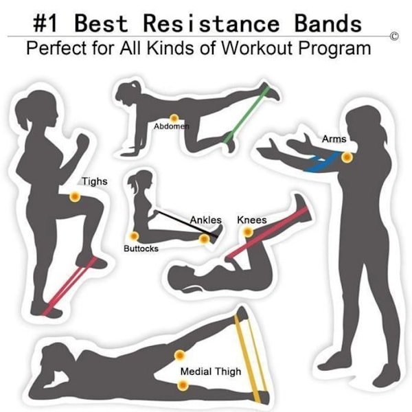 Bande de Résistance Set (5) ZENTAVO Voimaharjoittelu Kuminauha Kuntoiluvälineet Harjoituksia Vartalonrakennukseen Pilates Kyykky Urheilu.