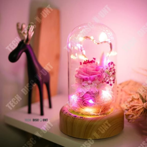 TD® Streamer Ønsker Jul Mikro-Landskab LED Gave Børn Pige Dreng Bluetooth USB Blødt Lys Bordlampe Natbord Dekoration