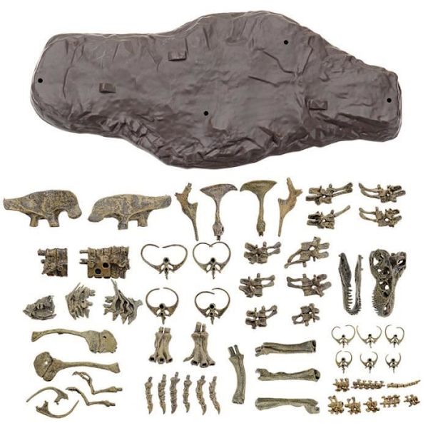 Tyrannosaurus Rex Skelet Dinosaur Dyr Samler Dekor Model Legetøj Dinosaur Skelet Model
