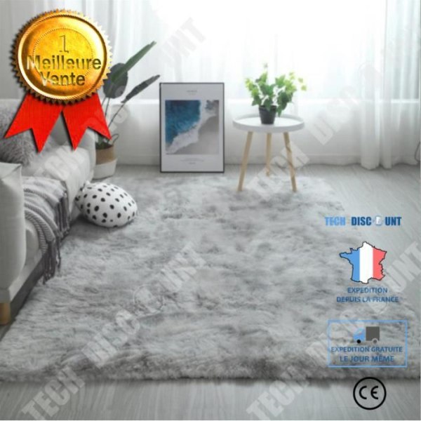 Tæppe til hjemmet TD® 200 x 300cm Skridsikker Anti-akkumulation