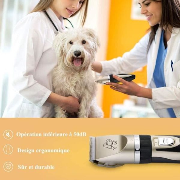 eTakin® Ammattimainen koiran trimmeri Nopea lataus Persia kissa hiljainen eläinten trimmeri Laturilla varustettu langaton (Kulta) GULD