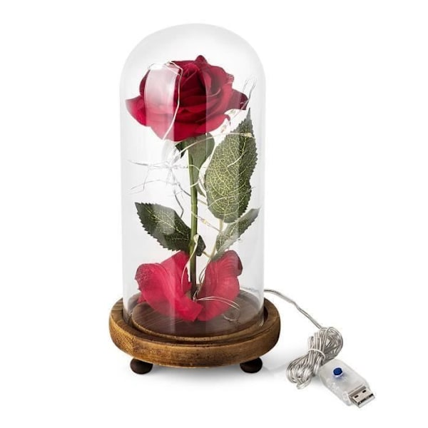 Eternal Rose och LED-ljus "Beauty and the Beast" Röd, grön, transparent och brun