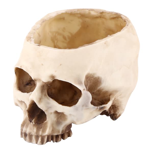 A Resin Skull Flower Pot