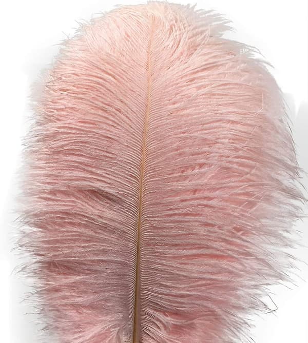 10 strutsefjær, 30-35 cm lange, lys rosa, for hjemmedekorasjon.